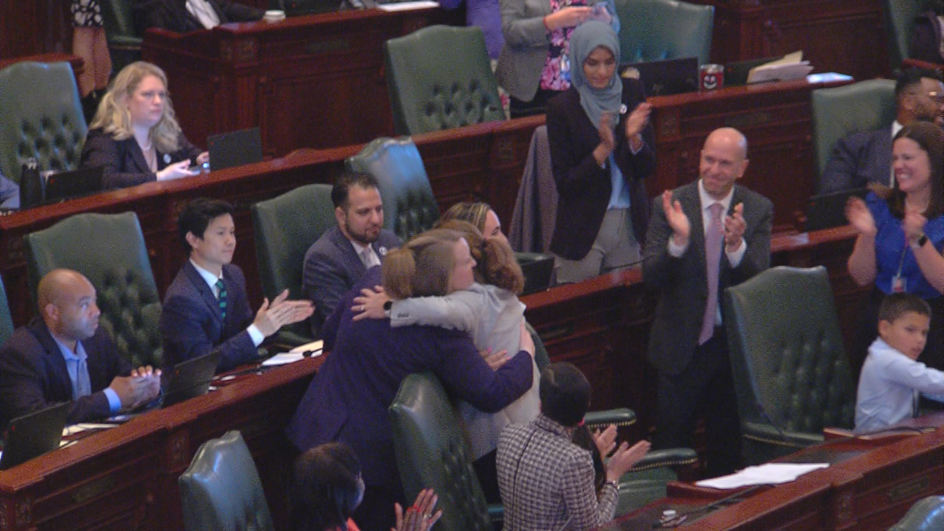 Illinois firearm omnibus bill